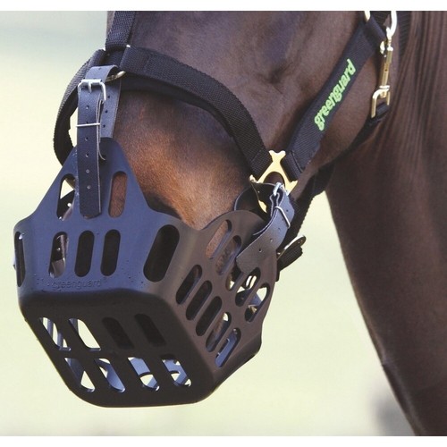 Greenguard muzzle - greenguard,