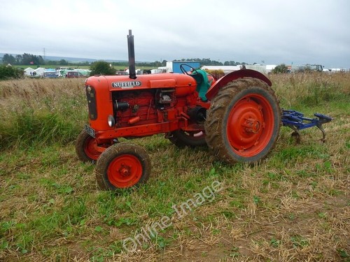 Photo 6x4 longstock vintage - 6x4,