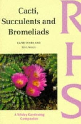 Cacti succulents and - succulents,