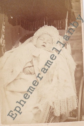 Victorian photo cdv sleeping - photo,