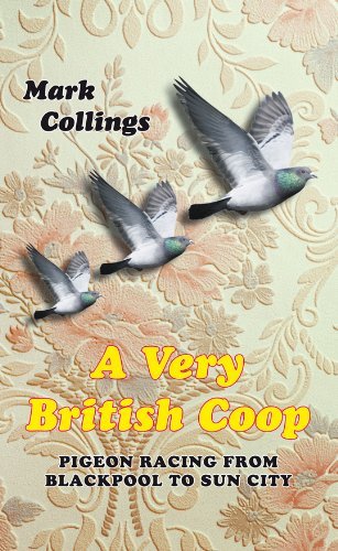 Very british coop pigeon - very,