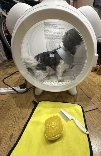 Smart pet dryer box - smart,