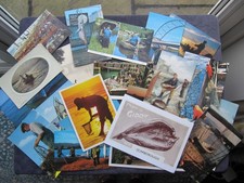 24 POSTCARDS FISH, COD