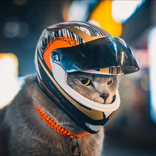 Pets motorcycle safety helmet - safety,