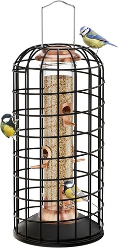 Bird feeders hanging - bird,