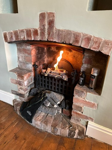 Log bio ethanol fire inset - log,