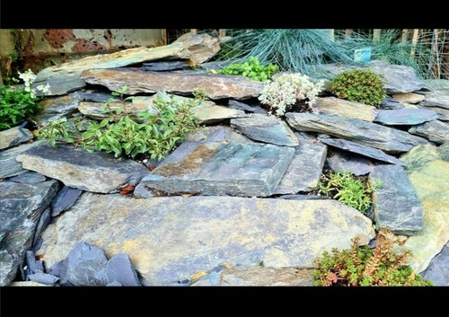 Rustic slate walling and - rustic,