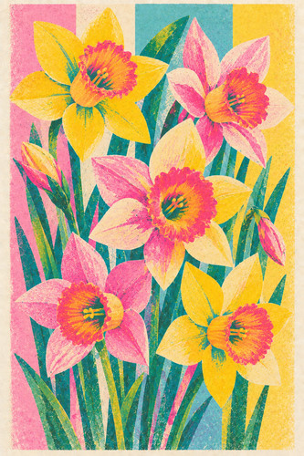 Daffodil risograph print - daffodil,