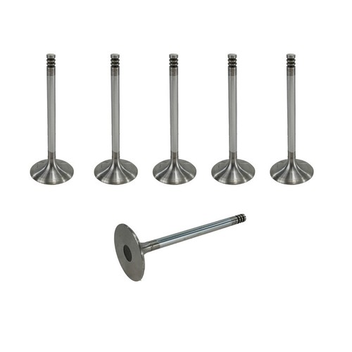 Intake valve set - vw, 2.3