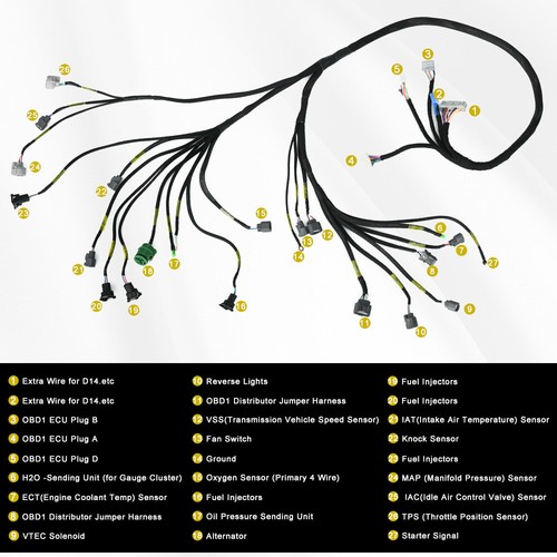 Obd1 budget series - d/b-series, tucked