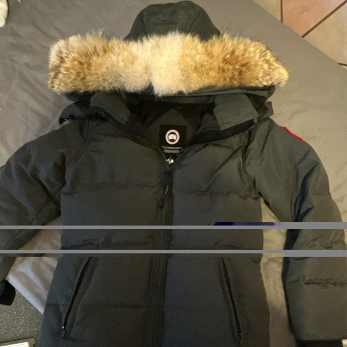 Canada goose arctic program - canada,
