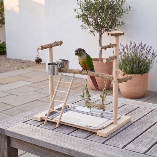 Wood bird playground - playground, stand