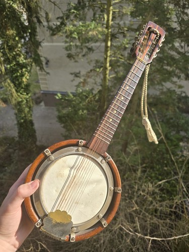 Vintage string banjo - string,