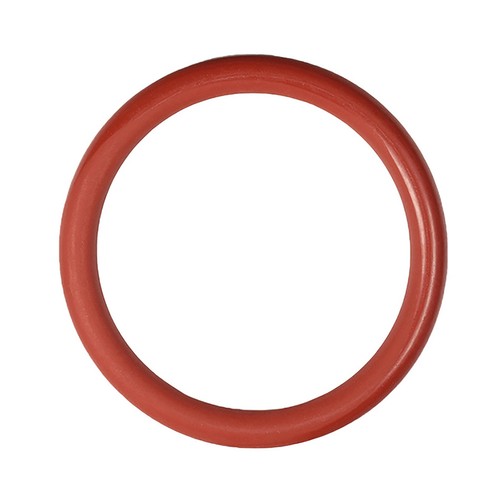 Gasket saeco ring - gasket,