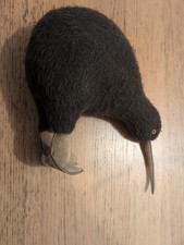Kiwi Bird Plush Doll Stuffed