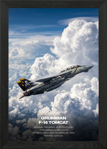 Grumman tomcat in clouds - grumman,