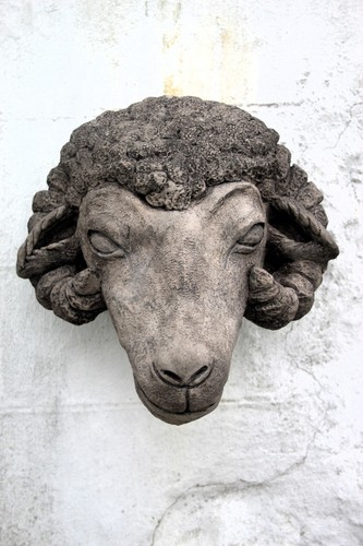 Ram sheep head garden - sheep,