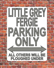 LITTLE GREY FERGIE PARKING