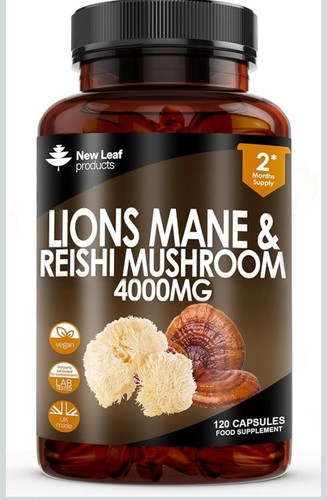 Lions mane reishi mushroom - mane, &