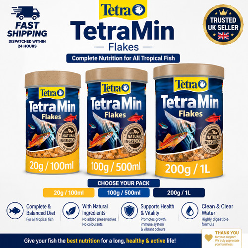 Tetra min - tetra, fish