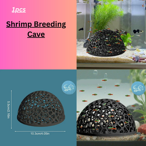 Shrimp breeding cave - breeding, fish