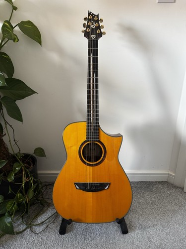 Cort luxe frank gambale - ii,