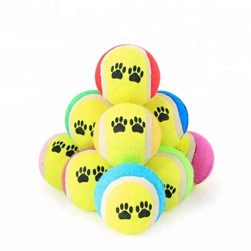 Dogs paw tennis balls chew - paw,