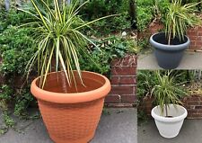 Good Quality 50cm Flower Plant Pot Rattan Style Garden Planters With Drip Tray
