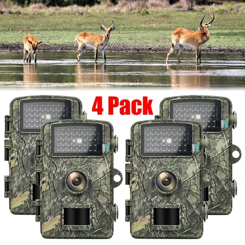 4pack 1080p hunting trail - 4pack,