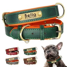 Wide Dog Collar for Large Dogs