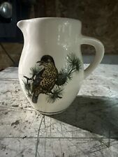 Vintage Brixham Pottery Jug