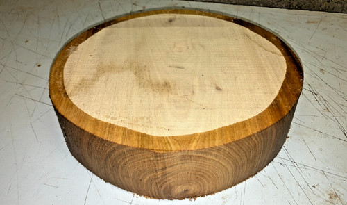 240x52mm lot 49b - 49b, elm