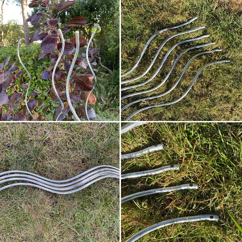 Tomato spiral supports stakes - spiral,
