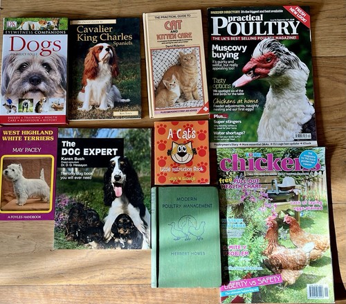 Pet owner book - book, cavalier
