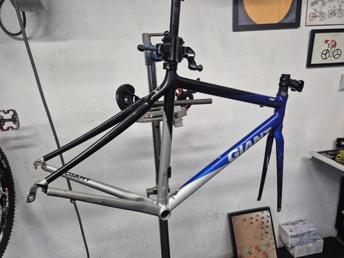 Giant tcr frame medium - tcr,