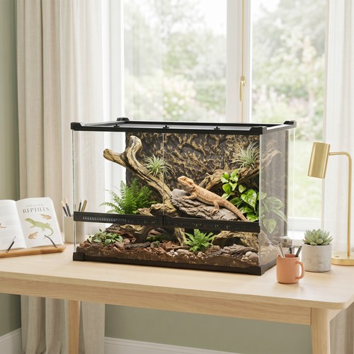 Glass terrarium with - with, stone