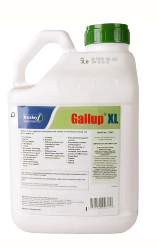 Gallup 360 professional - 360,