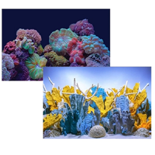Seaview coral bliss luscia - seaview, /luscia