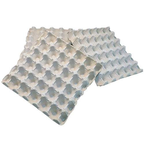 Home centre egg boxes trays - centre,