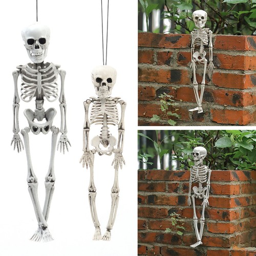 Halloween hanging skeleton - hanging,