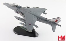 HA2651 Harrier GR.9A ZG478, 41 (R) Sqn., RAF Coningsby Air Base, March 2006