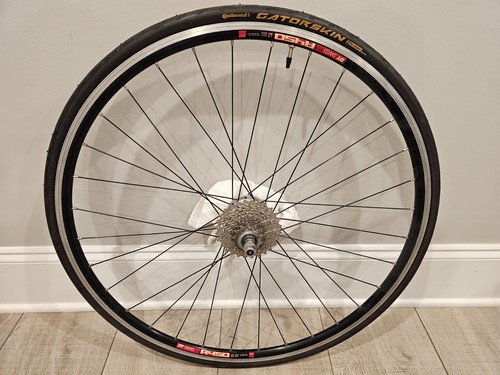 Swiss r450 spoke - dt,