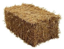 Barley Straw BALE IN A BOX -