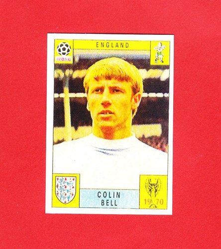 Panini fifa world cup - panini,