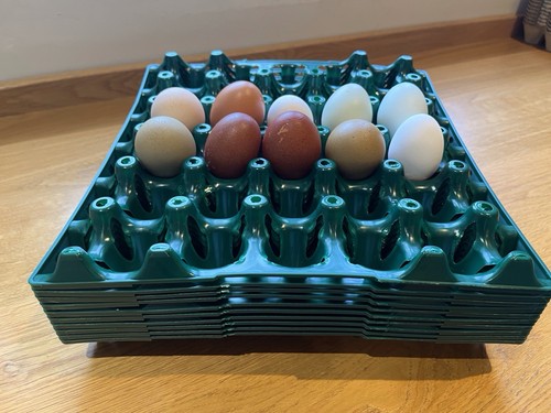 Plastic egg storage trays - 10,
