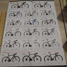 Raleigh Adult Road Range