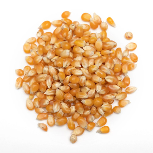 Popcorn seeds raw corn - raw,