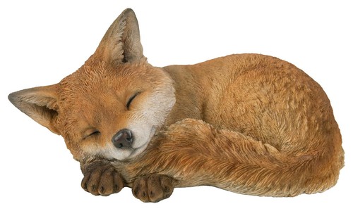 Fox cub sleeping - -, lifelike