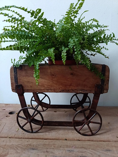 Planter wooden brick - , mould