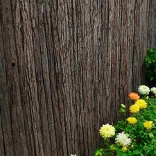 Premium Bark Fencing Screening